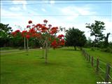 Paseo Lineal del Río Bayamón - BAYAMÓN